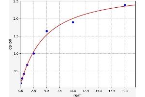 Hexosaminidase A (HEXA) ELISA Kit