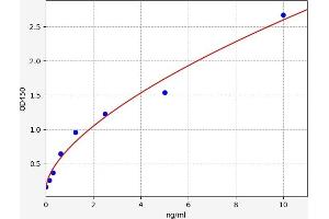 Sulfatase 1 (SULF1) ELISA Kit