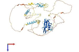 SHB Protein (AA 1-509) (His tag)