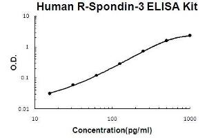 R-Spondin 3 ELISA Kit