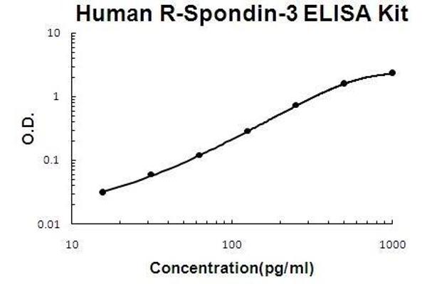 R-Spondin 3 ELISA Kit