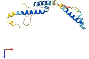 HES5 Protein (AA 1-167) (His tag)