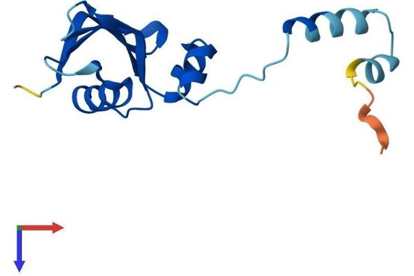 RPS24 Protein (AA 1-133) (His tag)