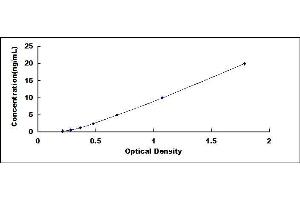 Typical standard curve (WFS1 ELISA Kit)