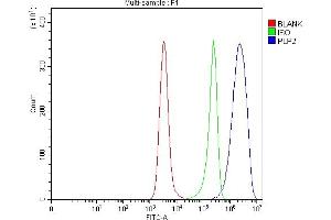 Flow Cytometry analysis of Daudi cells using anti-PLP2 antibody (ABIN7600320).