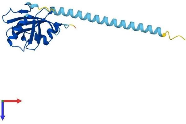 CBFB Protein (AA 1-182) (His tag)