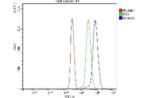 Flow Cytometry analysis of U937 cells using anti-PITRM1 antibody (ABIN7601336).