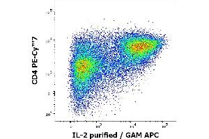 Flow cytometry multicolor intracellular staining of human PMA + ionomycin stimulated and Brefeldin A treated peripheral whole blood showing lymphocytes stained using anti-human CD4 (MEM-241) PE-Cy™7 antibody (4 μL reagent / 100 μL of peripheral whole blood) and anti-human IL-2 (35C3) purified antibody (concentration in sample 0,5 μg/mL, GAM APC). (IL-2 Antikörper)