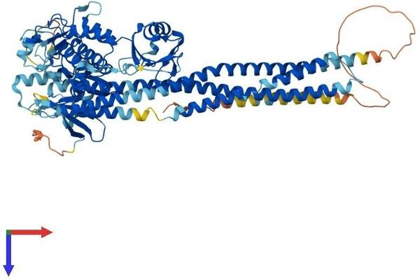 IKK alpha Protein (AA 1-745) (His tag)