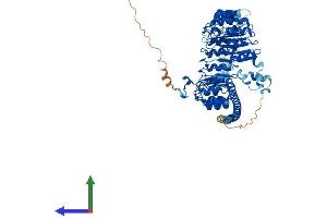 Protein Structure (PS) image for F-Box and Leucine-Rich Repeat Protein 13 (FBXL13) (AA 1-735) protein (His tag) (ABIN7547769)