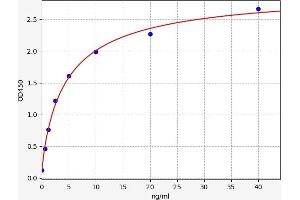 Typical standard curve (CAPNL1 ELISA Kit)