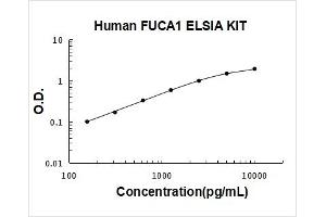 Fucosidase, alpha-L- 1, Tissue (FUCA1) ELISA Kit