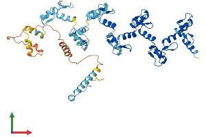 AlphaFold protein structure predicition of Human Recombinant ZNF878 Protein, UniprotID C9JN71