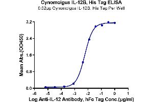 ELISA image for Interleukin 12 beta (IL12B) (AA 23-328) protein (His tag) (ABIN7275395)