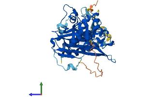 Protein Structure (PS) image for Inositol Polyphosphate-1-Phosphatase (INPP1) (AA 1-399) protein (His tag) (ABIN7548501)