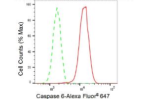 Flow cytometric analysis of Caspase 6 expression in HT- cells using Caspase 6 antibody (ABIN7797901), 1:2,000). (Rekombinanter Caspase 6 Antikörper)