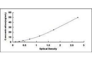 ELISA image for CD52 (CD52) ELISA Kit (ABIN417607) (CD52 ELISA Kit)