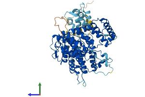 AlphaFold protein structure predicition of Human Recombinant PLS1 Protein, UniprotID Q14651