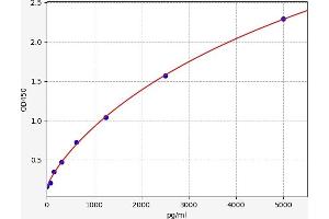 Sirtuin 6 (SIRT6) ELISA Kit