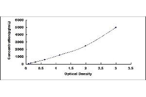 Typical standard curve (CD80 ELISA Kit)