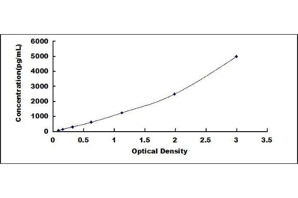 CD80 ELISA Kit