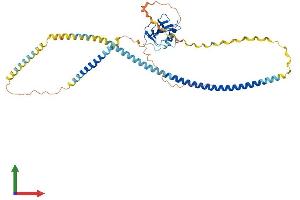 Protein Structure (PS) image for Macrophage Scavenger Receptor 1 (MSR1) (AA 1-451) protein (His tag) (ABIN7549543)