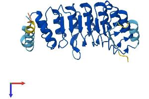 AMN1 Protein (AA 1-258) (His tag)