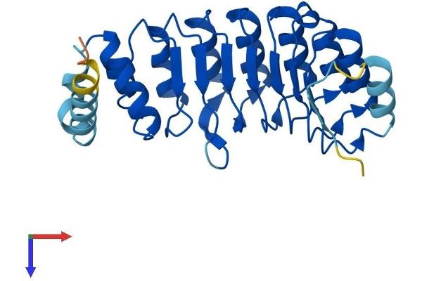 AMN1 Protein (AA 1-258) (His tag)