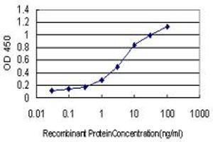 Detection limit for recombinant GST tagged ABCG1 is approximately 0. (ABCG1 Antikörper  (AA 21-130))