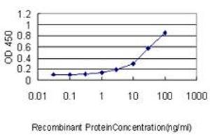Detection limit for recombinant GST tagged MOAP1 is approximately 1ng/ml as a capture antibody. (MOAP1 Antikörper  (AA 1-351))