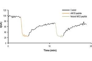 Mast Cell-Degranulating Peptide (MCDP) peptide