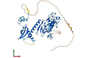 Protein Structure (PS) image for Suppressor of Variegation 3-9 Homolog 2 (Drosophila) (SUV39H2) (AA 1-477) protein (His tag) (ABIN7565038)
