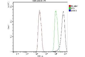 Flow Cytometry analysis of C6 cells using anti-Dynamin 3/DNM3 antibody (ABIN7601163). (Dynamin 3 Antikörper  (AA 295-712))