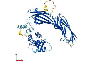 Protein Structure (PS) image for Adaptor-Related Protein Complex 2, mu 1 Subunit (AP2M1) (AA 1-435) protein (His tag) (ABIN7563538)