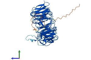 AlphaFold protein structure predicition of Human Recombinant WRAP73 Protein, UniprotID Q9P2S5