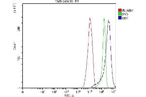 Flow Cytometry analysis of RT4 cells using anti-MX1 antibody (ABIN7601731).