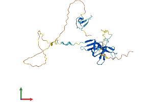 Protein Structure (PS) image for GATA Zinc Finger Domain Containing 1 (GATAD1) (AA 1-266) protein (His tag) (ABIN7560185)