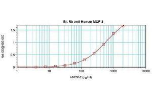 Image no. 1 for anti-Chemokine (C-C Motif) Ligand 8 (CCL8) antibody (Biotin) (ABIN465683) (CCL8 Antikörper  (Biotin))