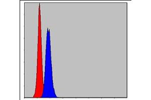 Flow cytometric analysis of MCF-7 cells using PHB monoclonal antobody, clone 5H7  (blue) and negative control (red).