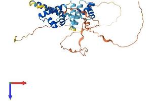 POU5F2 Protein (AA 1-328) (His tag)