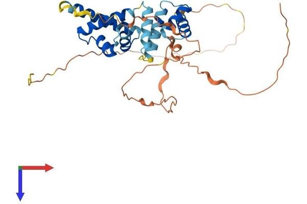 POU5F2 Protein (AA 1-328) (His tag)