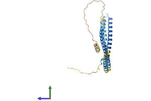 Protein Structure (PS) image for Charged Multivesicular Body Protein 4C (CHMP4C) (AA 1-232) protein (His tag) (ABIN7564993)