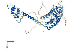 THRA Protein (AA 1-492) (His tag)