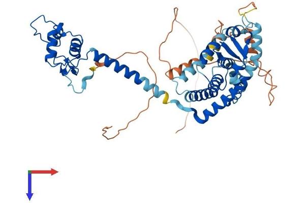 THRA Protein (AA 1-492) (His tag)