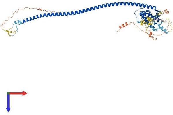 ATG14 Protein (AA 1-492) (His tag)