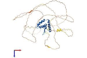 SOX4 Protein (AA 1-474) (His tag)