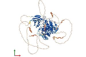 Protein Structure (PS) image for ATP/GTP Binding Protein-Like 5 (AGBL5) (AA 1-886) protein (His tag) (ABIN7563616)