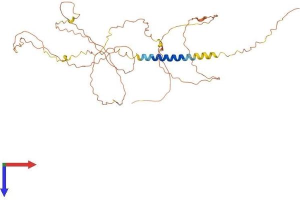 LAX1 Protein (AA 1-398) (His tag)