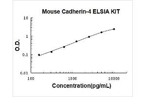 Cadherin 4 (CDH4) ELISA Kit