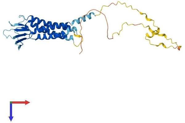 Claudin 23 Protein (CLDN23) (AA 1-292) (His tag)